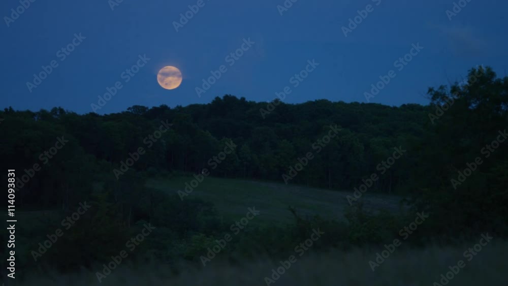 4K Camera tilts up from grassy fields to a bright full moon in the sky 4K Camera tilts up from grassy fields to a bright full moon in the sky