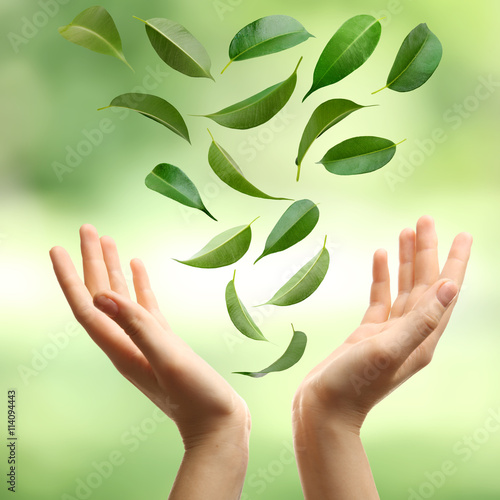 Green leaves falling into woman hands, on green nature background