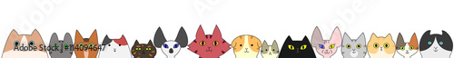 cats banner