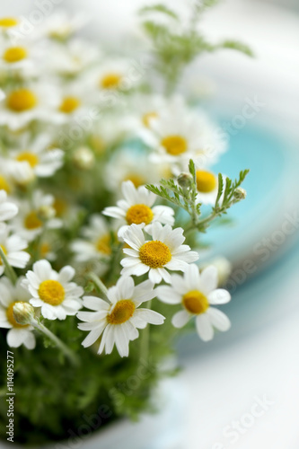 Bouquet of fresh chamomiles on blurred kitchen background