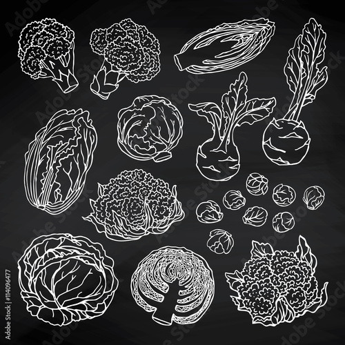 Doodle vegetables set with cabbages, cauliflower, broccoli, Brussels sprouts on blackboard