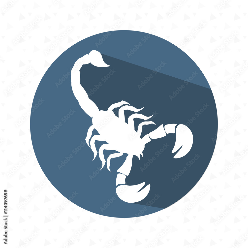 signs of the zodiac design, vector illustration eps10 graphic signs of the zodiac design, vector illustration eps10 graphic