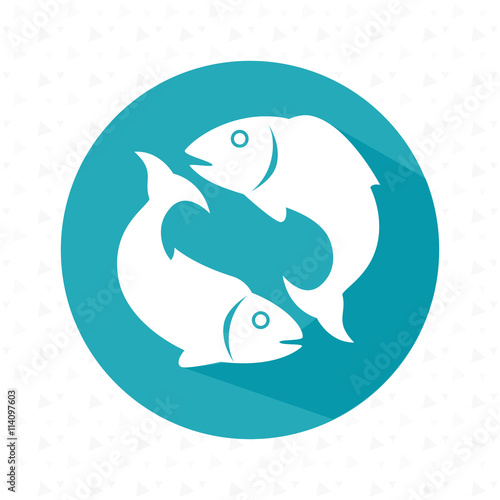 signs of the zodiac design, vector illustration eps10 graphic 