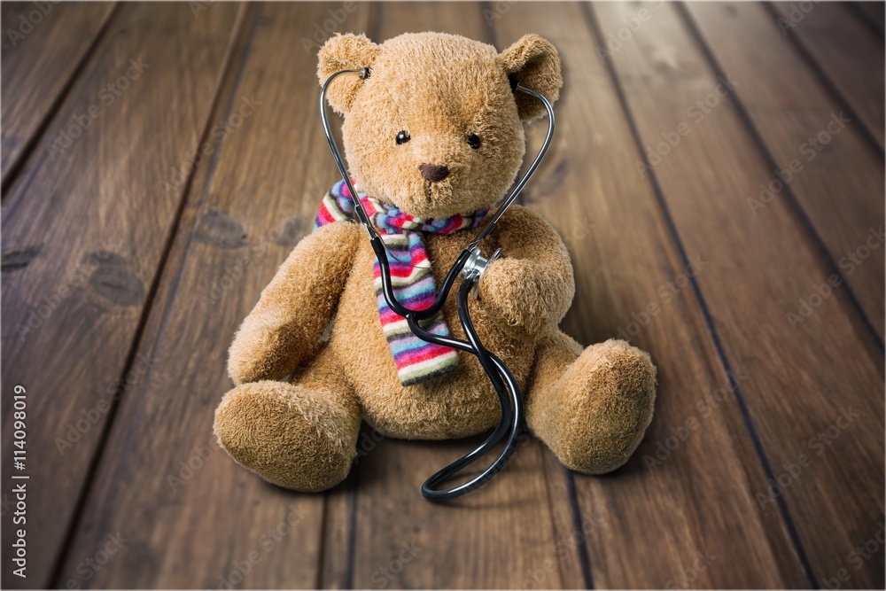 Obraz premium Teddy Bear.