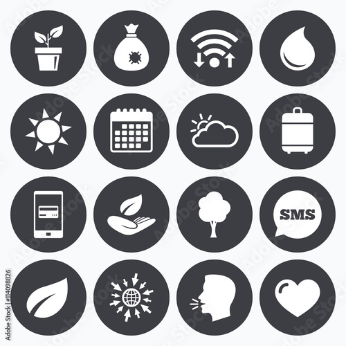 Sprout, leaf icons. Garden and weather signs.