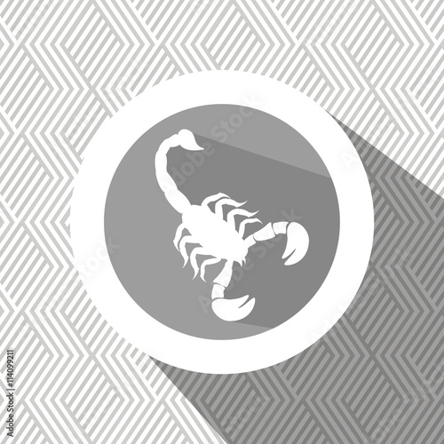 signs of the zodiac design, vector illustration eps10 graphic 