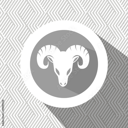 signs of the zodiac design  vector illustration eps10 graphic 