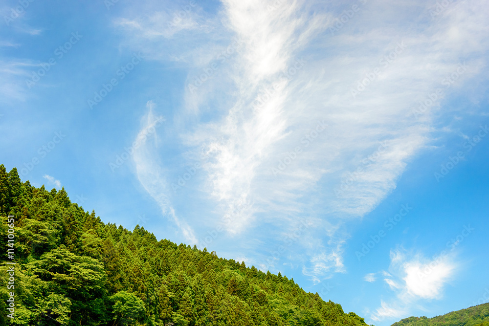 青空と山の木々