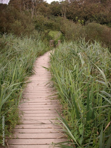 Wooden Pathway