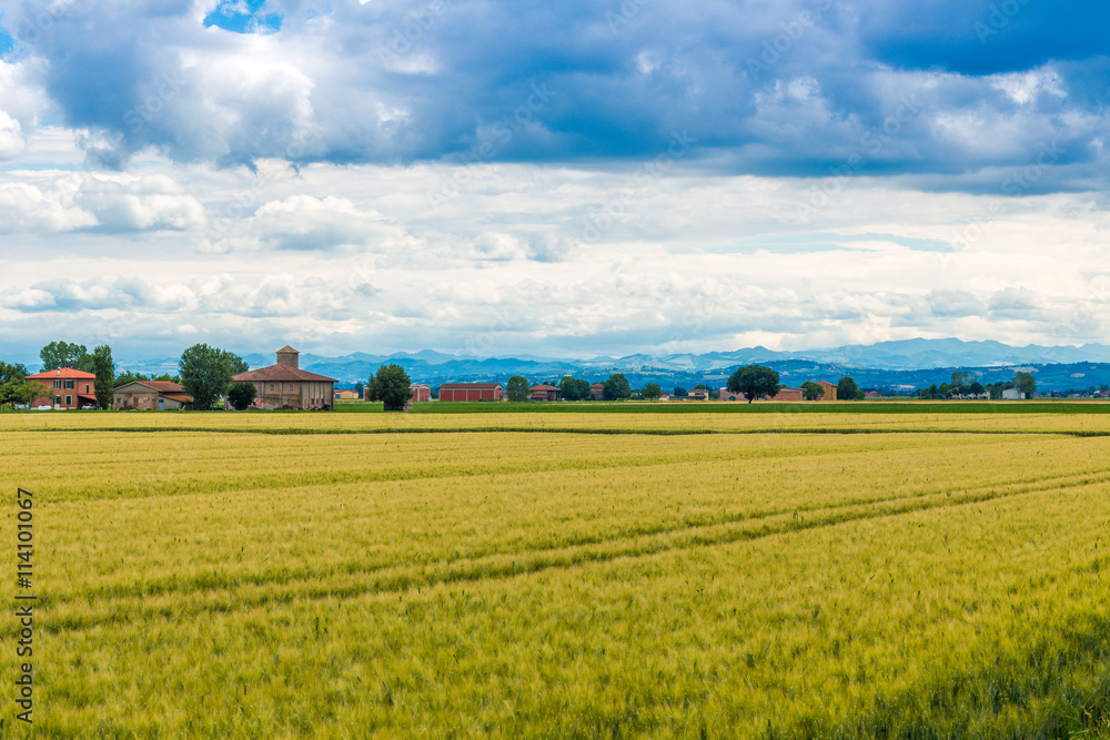 fields of Italy fields of Italy