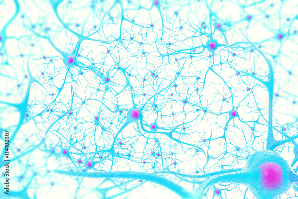 Neurons in the brain on white background with focus effect. 3d illustration