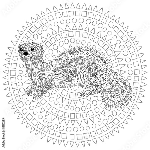 Hand drawn ferret with high details.