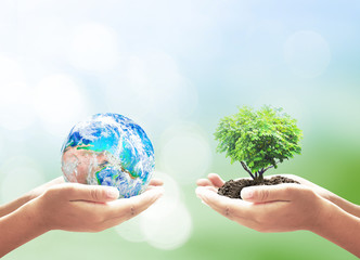 Hands holding earth globe and small tree for earth day, environmental protection, reforestation and global sustainability concept