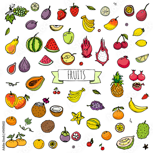 Hand drawn doodle fruits icons set Vector illustration seasonal fruits symbols collection Cartoon different kinds of fruits Various types of tropical fruits on white background Sketch style Fruit eps