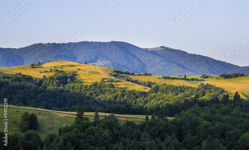 View of mountain forest landscape under sunlight in the middle of the summer with heavy blue sky as a background. Green wood mountain forest in clouds scenery   © Michael Sapryhin