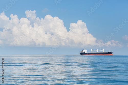 Cargo ship sailing in ocean