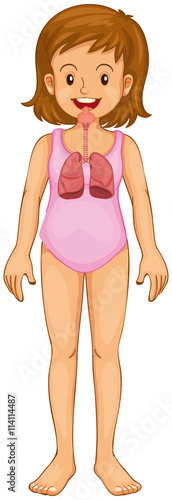 Little girl and lung diagram