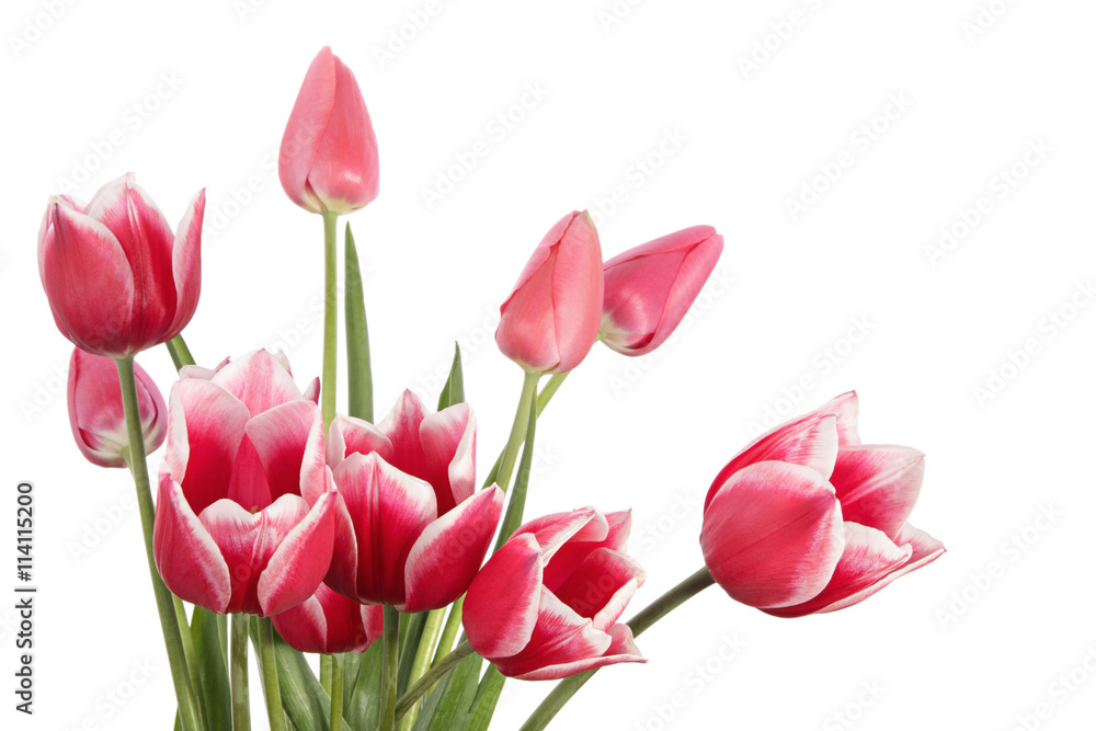 Spring Spring