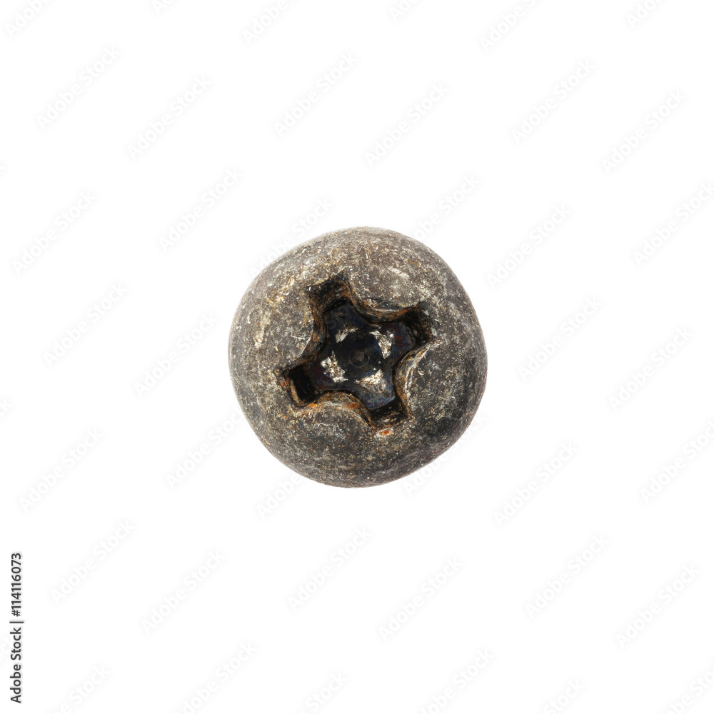 Rusty screw head Rusty screw head