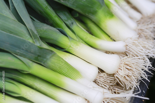 Closeup of some fresh Leeks with the white bulb and roots photo
