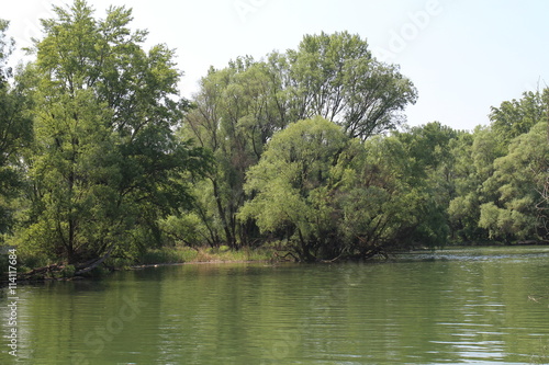 Side channels in Bodíky, Danube river, Slovakia