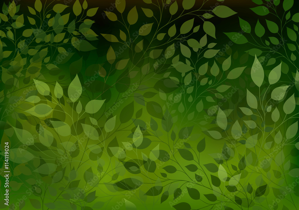 Branches and leaves Branches and leaves
