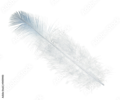 single straight feather with light blue edge