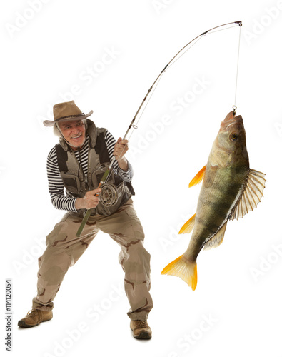 Senior fisherman with big fish - perch (Perca fluviatilis) isola