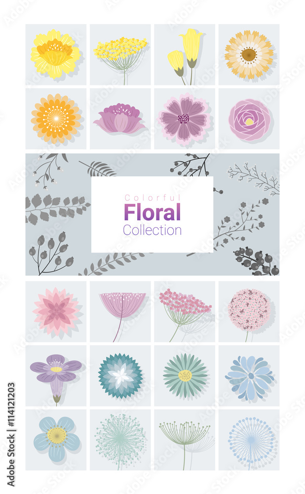 Colorful floral collection, vector, illustration