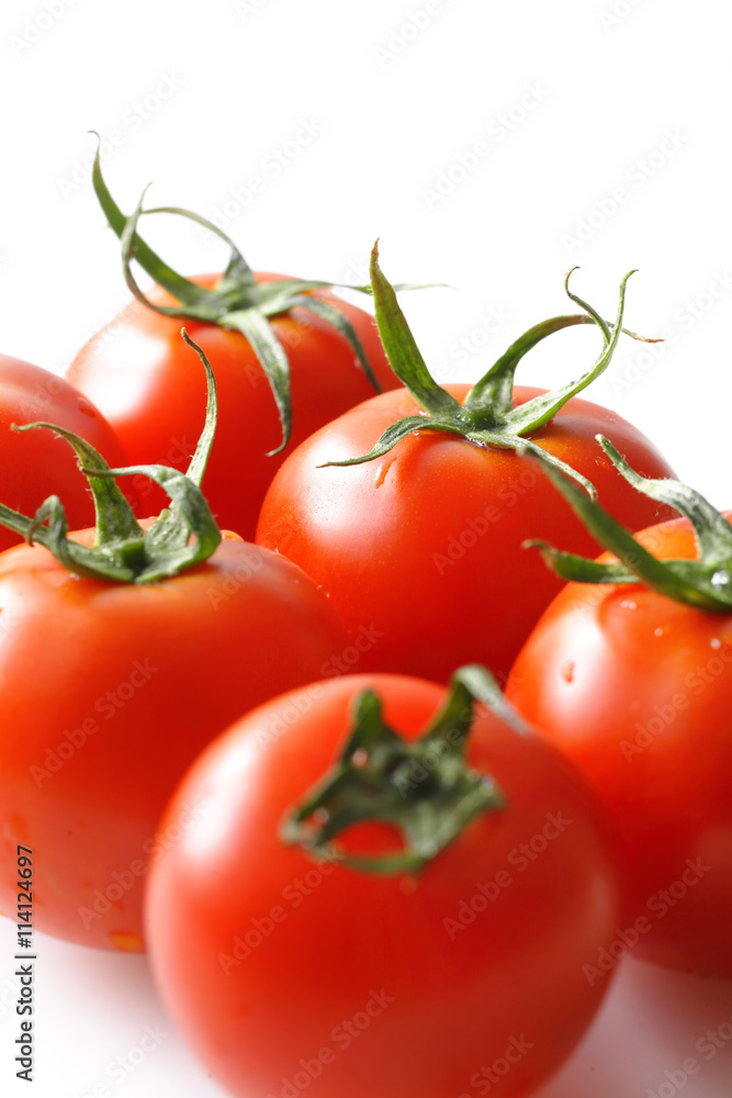 トマト Tomato トマト Tomato