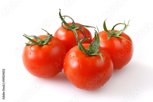 Wallpaper Mural トマト　Tomato Torontodigital.ca