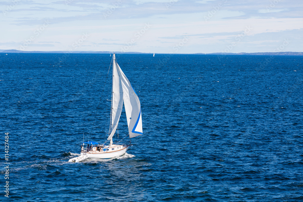 Fototapeta premium Sailing Across Bay