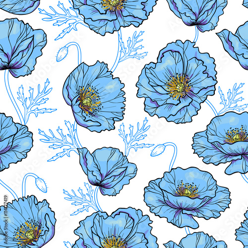 Blue poppy flowers  on a white background vector seamless pattern