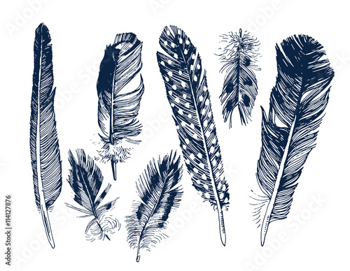 Hand drawn feathers set 