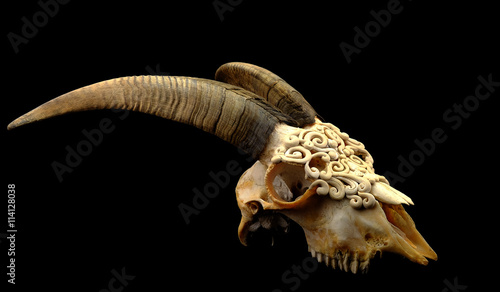 Goat's skull decorated with  Polymer clay ( original horn uncut and Selective focus)