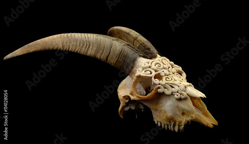 Goat's skull decorated with Polymer clay ( original horn uncut and Selective focus)