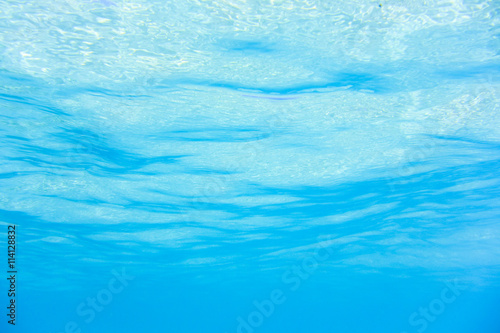 水面下の風景