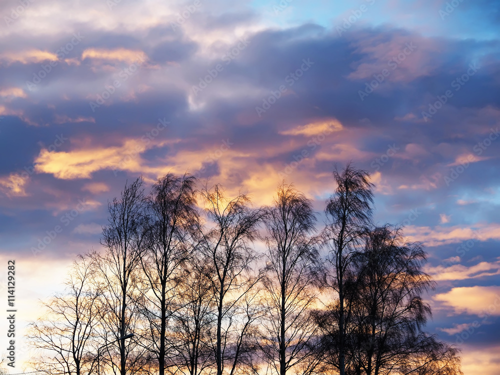 sunset sky with clouds above the forest sunset sky with clouds above the forest