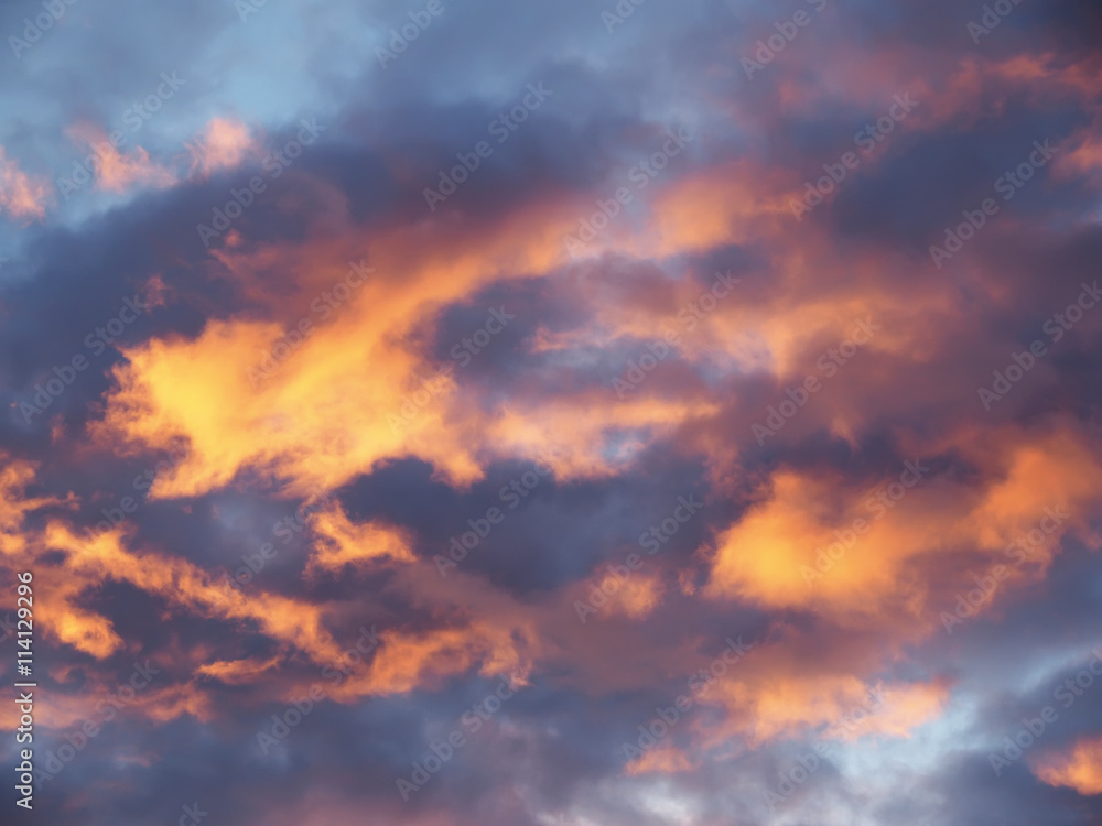 sunset sky with clouds above the forest
