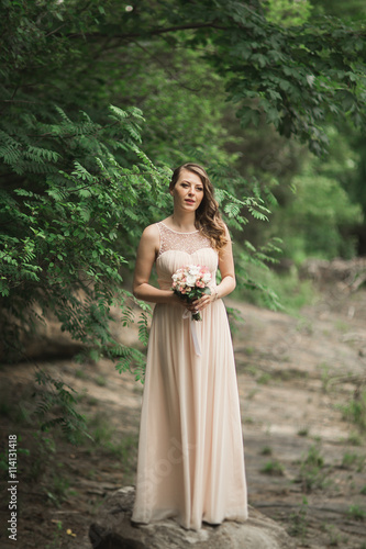 Beautiful luxury young bride inwedding dress standing near river with mountains on background