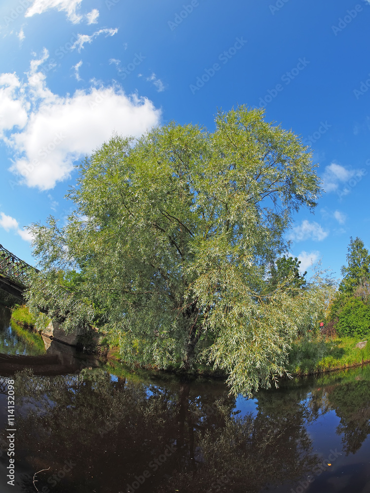 Bridge over the river in the park
