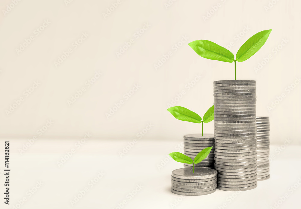 Growing plant on row of coin money for finance and banking concept
Growing plant on row of coin money for finance and banking concept