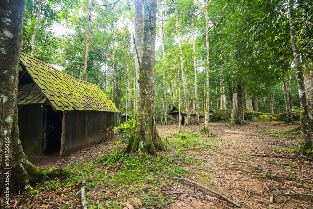 Old hut at evergreen forest, Desolated house at deep jungle Old hut at evergreen forest, Desolated house at deep jungle