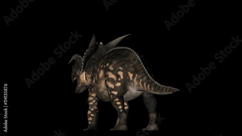 Animation of Einiosaurus dinosaur gyrating 360 degree on black background photo