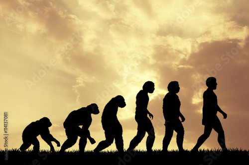 Fotobehang Human evolution