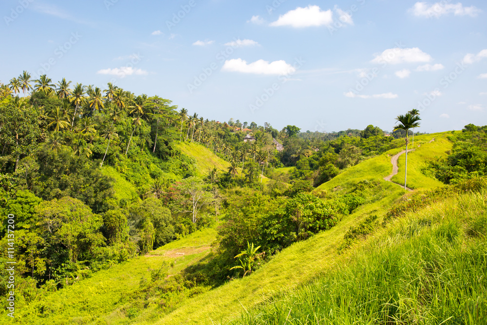 Obraz premium Campuhan Ridge Walk