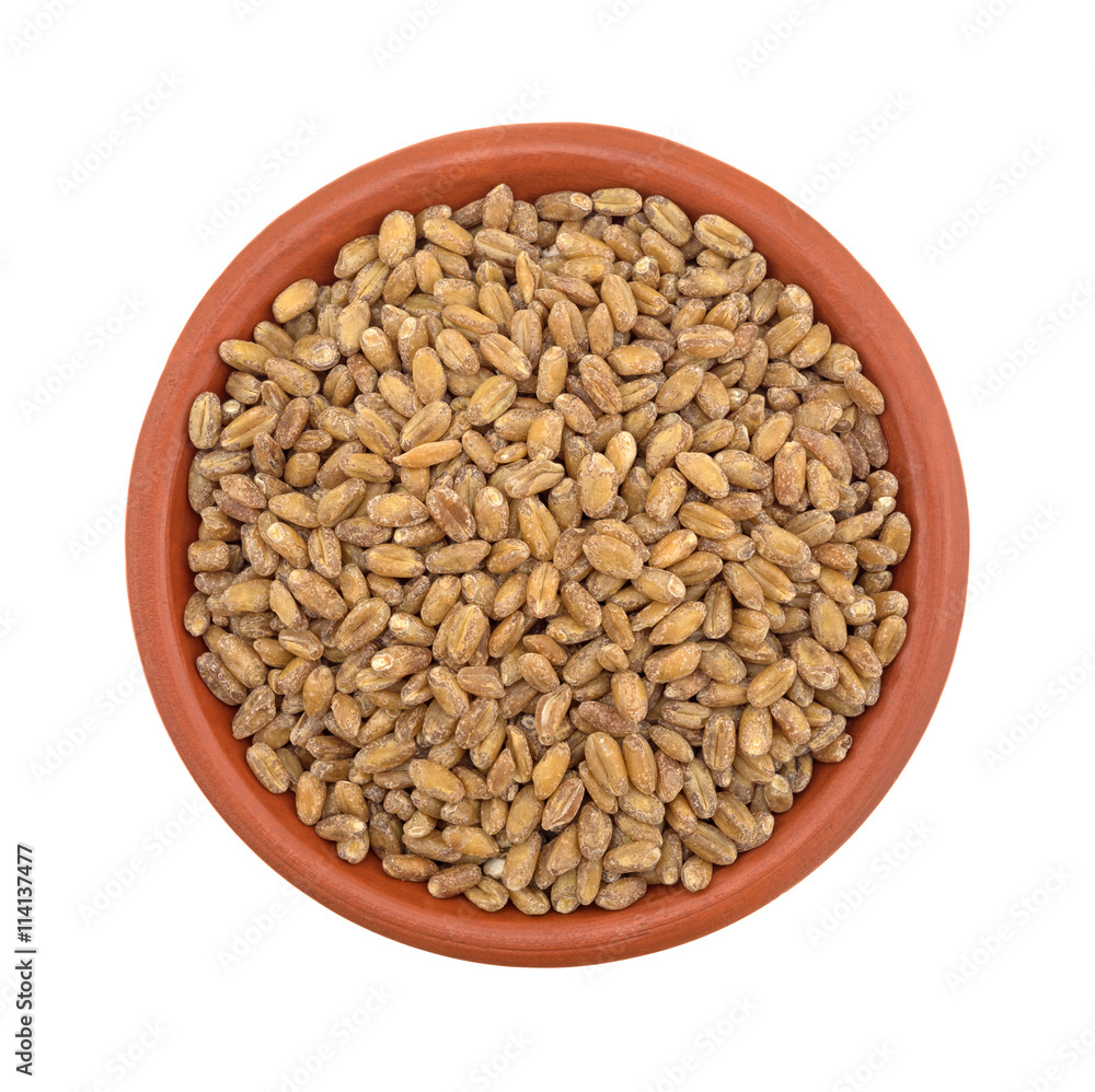 Small bowl of red winter wheat berries on white background top view. Small bowl of red winter wheat berries on white background top view.