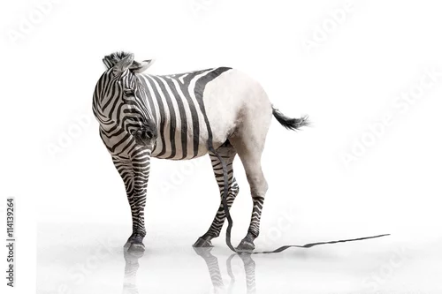Fototapeta na wymiar peelingi