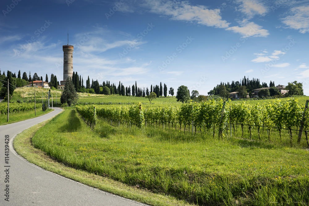 Italian landscape with historical tower