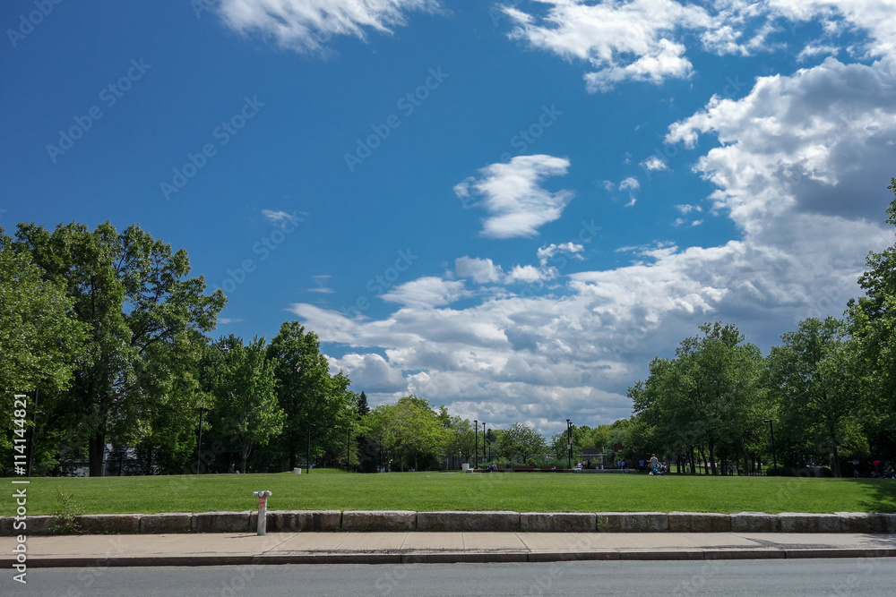 Park with blue sky